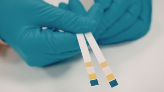 New Salvia alcohol screening device